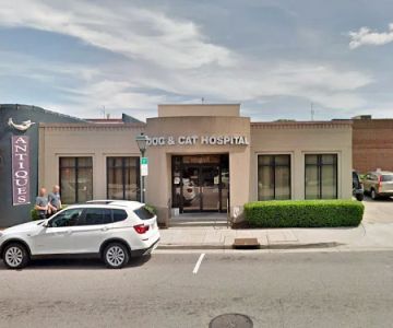 Dog & Cat Hospital