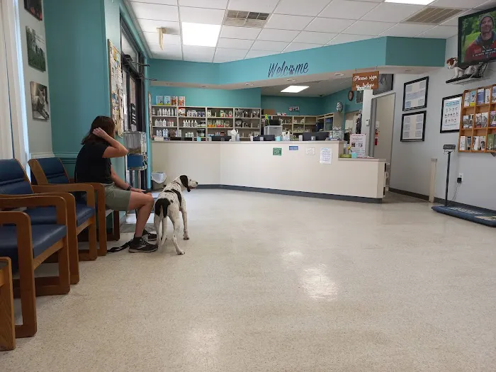Dog & Cat Hospital 4