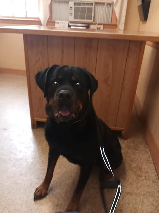 West Animal Clinic 1