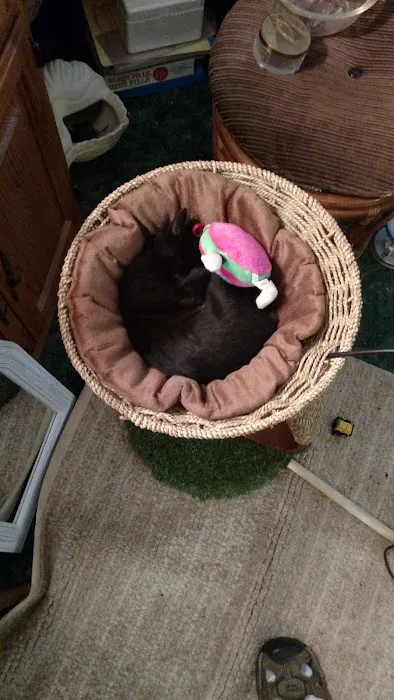 West Animal Clinic 6