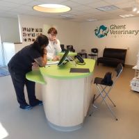 Ghent Veterinary Hospital ico