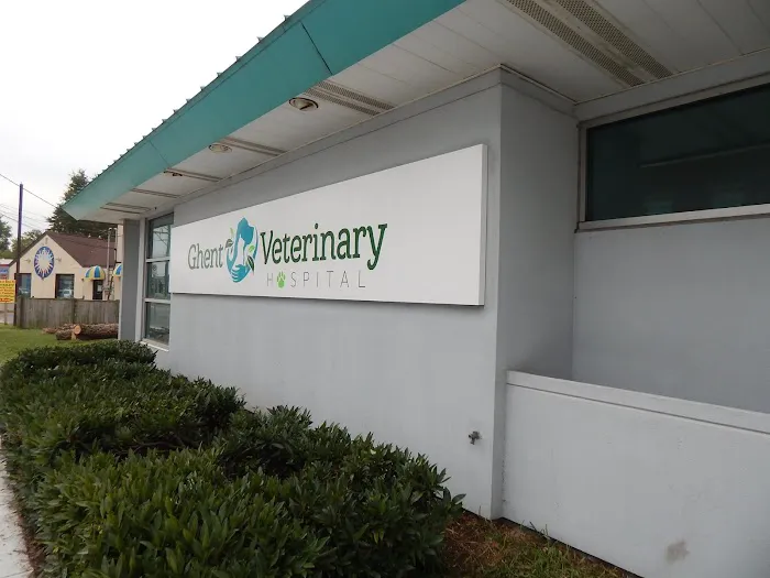 Ghent Veterinary Hospital 2