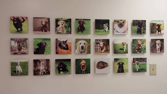 Ghent Veterinary Hospital 4