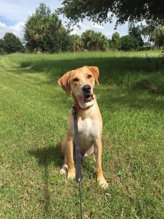 Banfield Pet Hospital 4