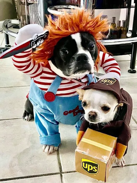 Banfield Pet Hospital 7