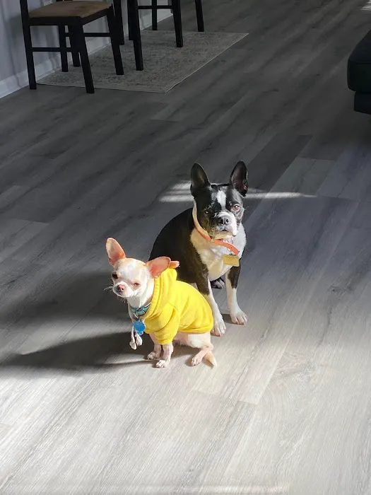 Banfield Pet Hospital 9