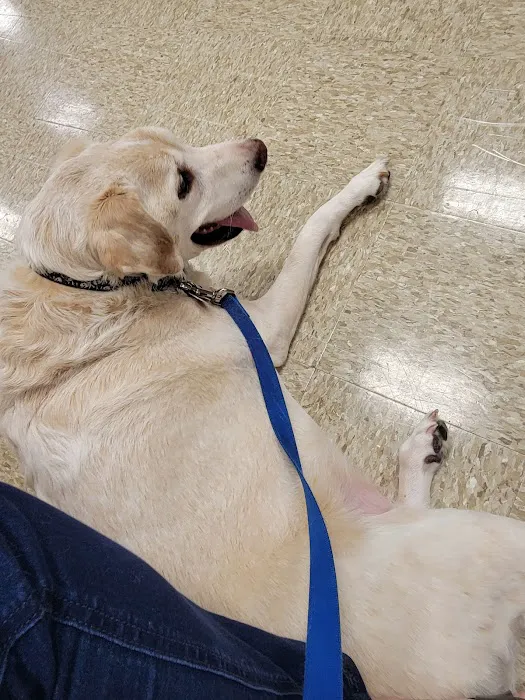 Banfield Pet Hospital 10