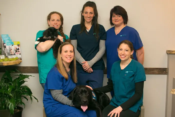 Coastal Virginia Veterinary Dermatology 1