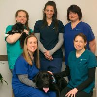 Coastal Virginia Veterinary Dermatology ico