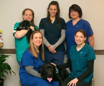 Coastal Virginia Veterinary Dermatology