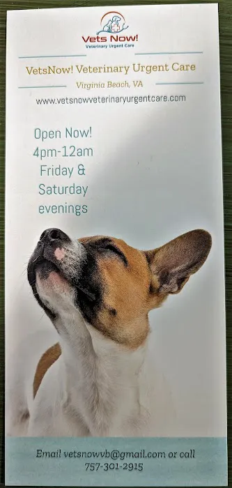 VetsNow! Veterinary Urgent Care 3