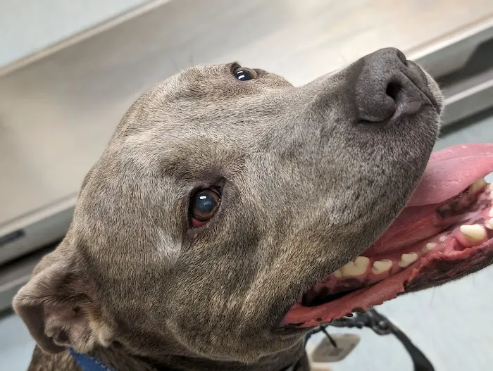 Highlands Veterinary Center 8