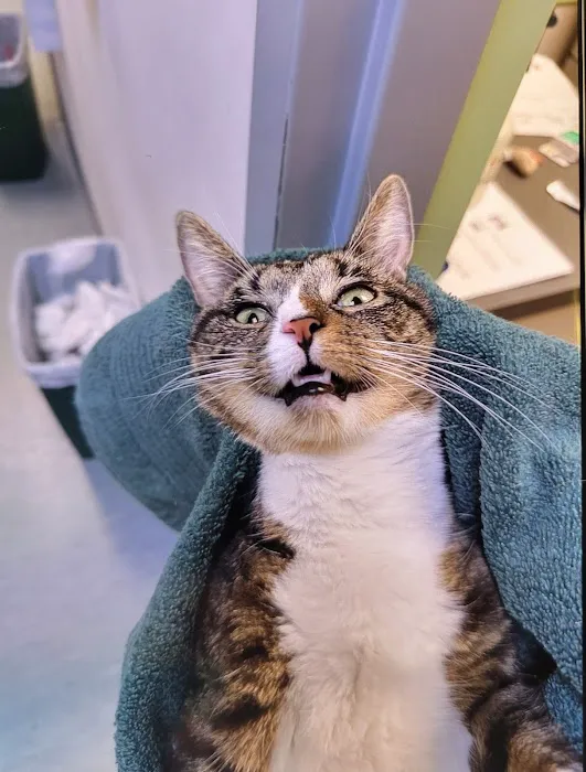 Highlands Veterinary Center 9