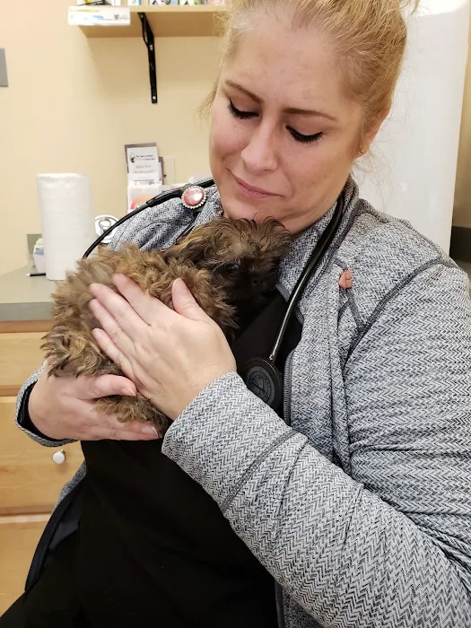 Cooke Veterinary Medical Center 6