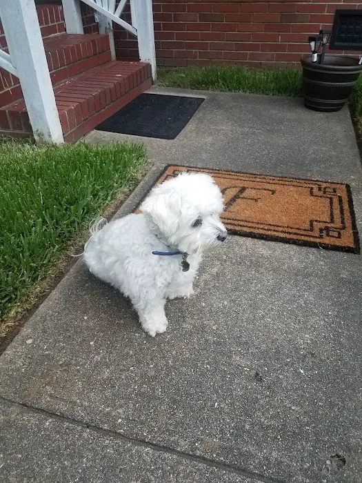 Banfield Pet Hospital 5