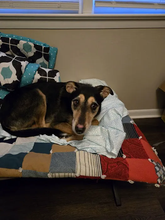 Banfield Pet Hospital 4