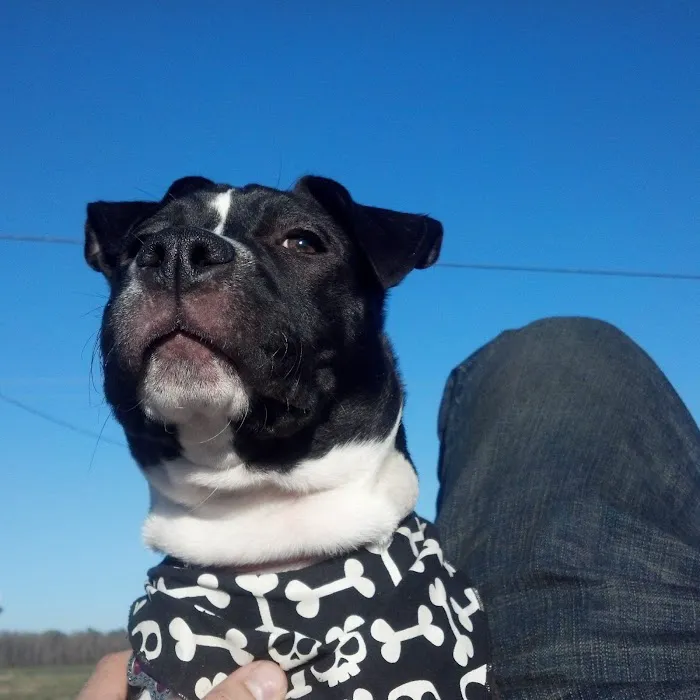 Banfield Pet Hospital 9