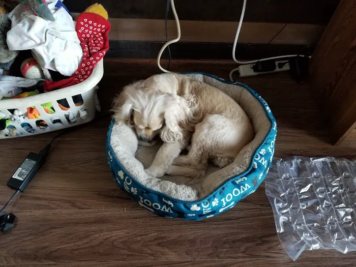 Banfield Pet Hospital 7