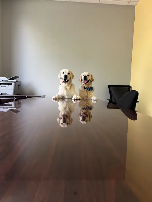 Unleashed Veterinary Urgent Care 1