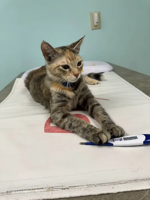 Hilltop Veterinary Clinic 1