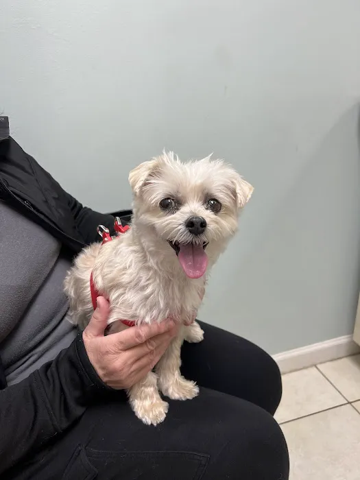 Hilltop Veterinary Clinic 4