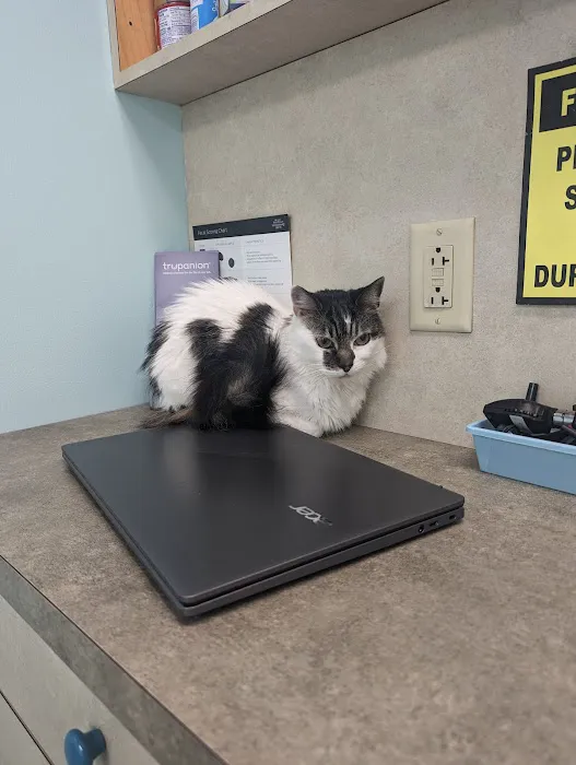 Hilltop Veterinary Clinic 9