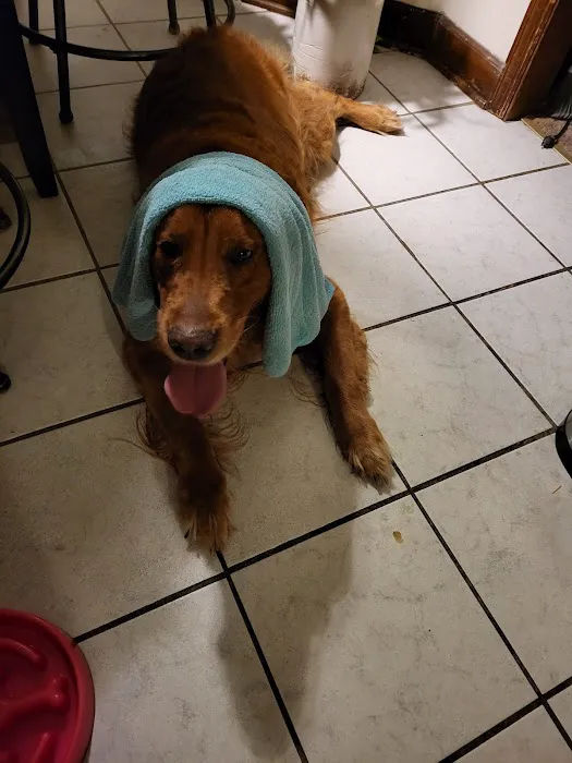 Banfield Pet Hospital 8