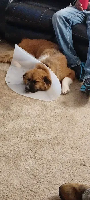 Banfield Pet Hospital 5