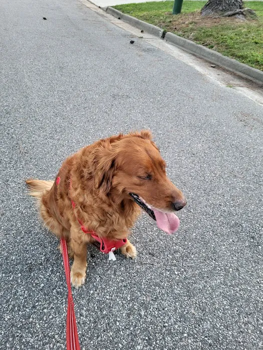 Banfield Pet Hospital 4