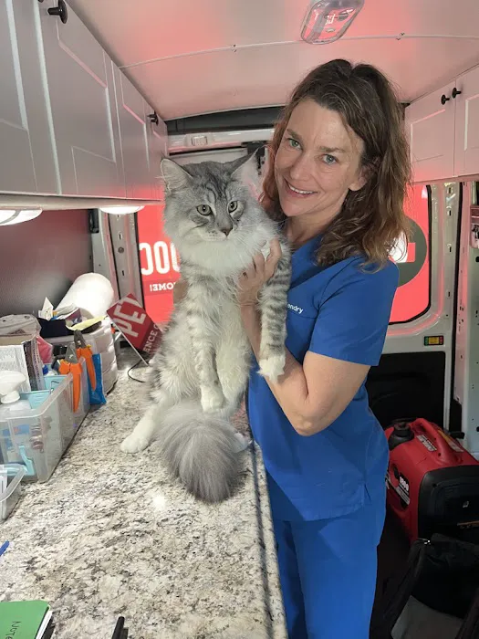 Mobile Pet Doc 1