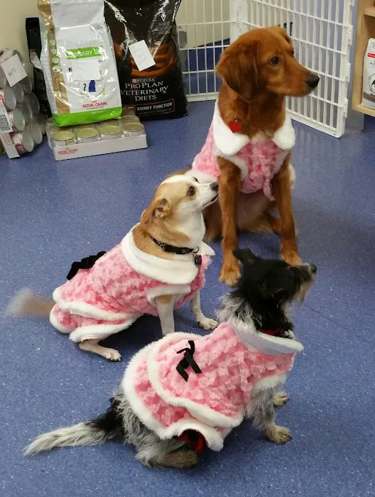 Animal Medical Center 7