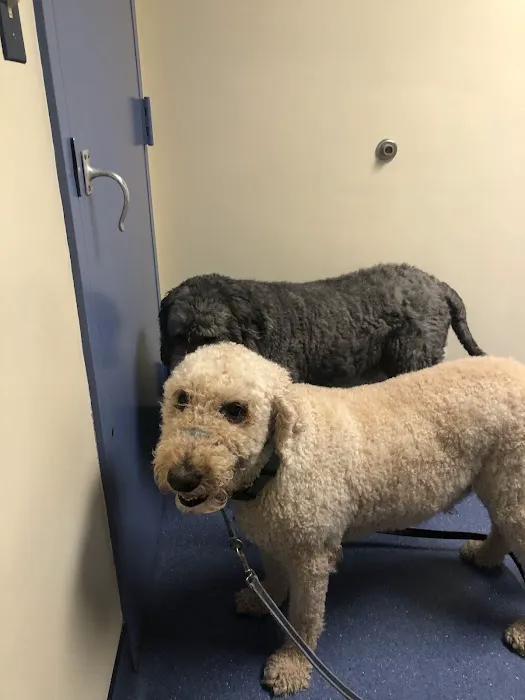 Animal Medical Center 10