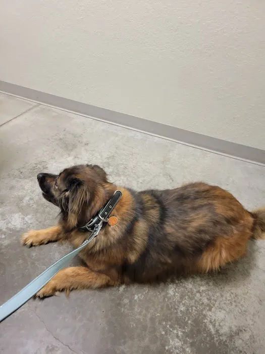 MAC Animal Hospital 12