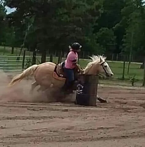 Easterwood Equine Hospital 12