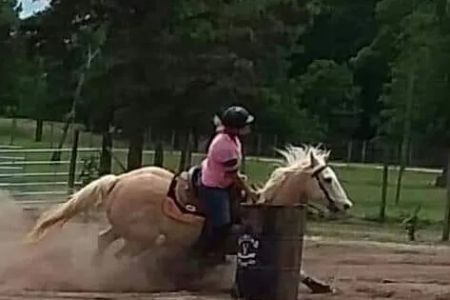 Easterwood Equine Hospital