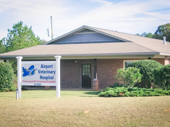 Airport Veterinary Hospital 12