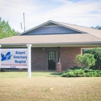 Airport Veterinary Hospital ico