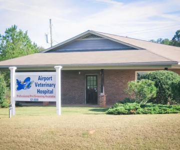 Airport Veterinary Hospital