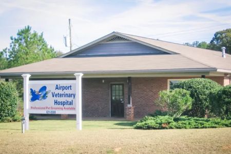 Airport Veterinary Hospital