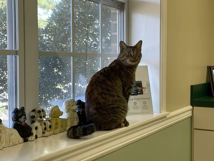Airport Veterinary Hospital 12
