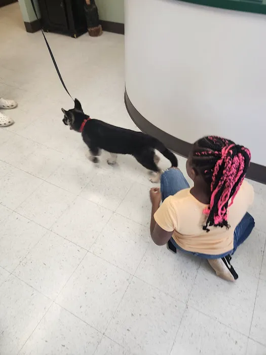 Airport Veterinary Hospital 12