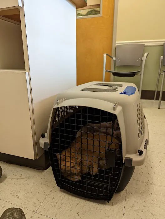Airport Veterinary Hospital 12