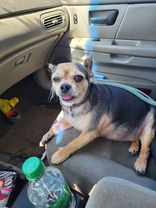 Calera Animal Hospital 3
