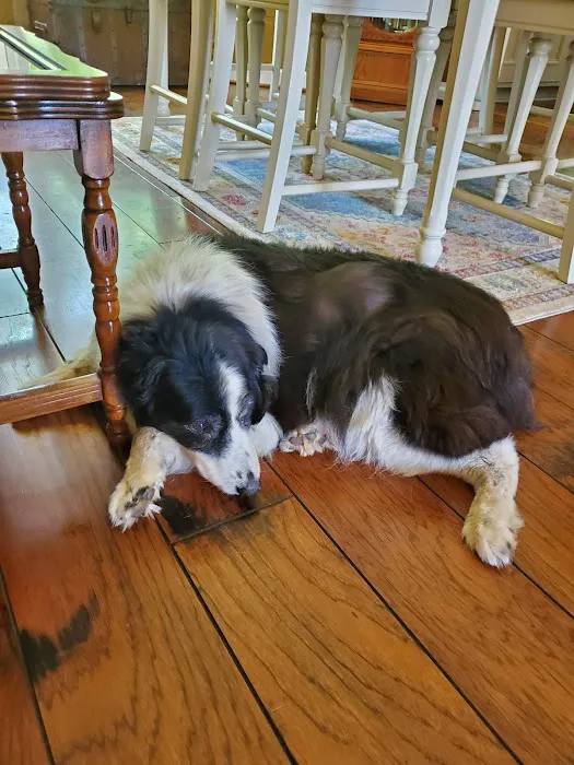 Banfield Pet Hospital 5
