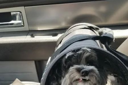 Weatherly Animal Hospital