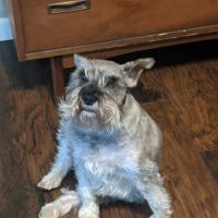 Childersburg Pet Clinic PC ico