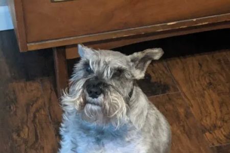 Childersburg Pet Clinic PC