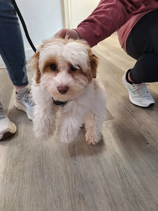 Childersburg Pet Clinic PC 3