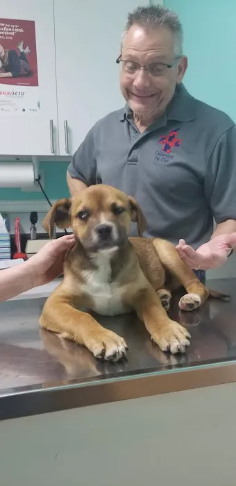 Childersburg Pet Clinic PC 5