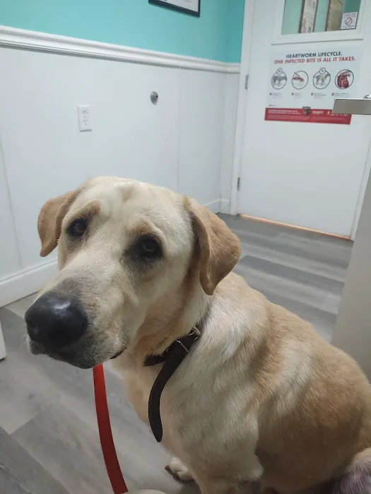 Childersburg Pet Clinic PC 9